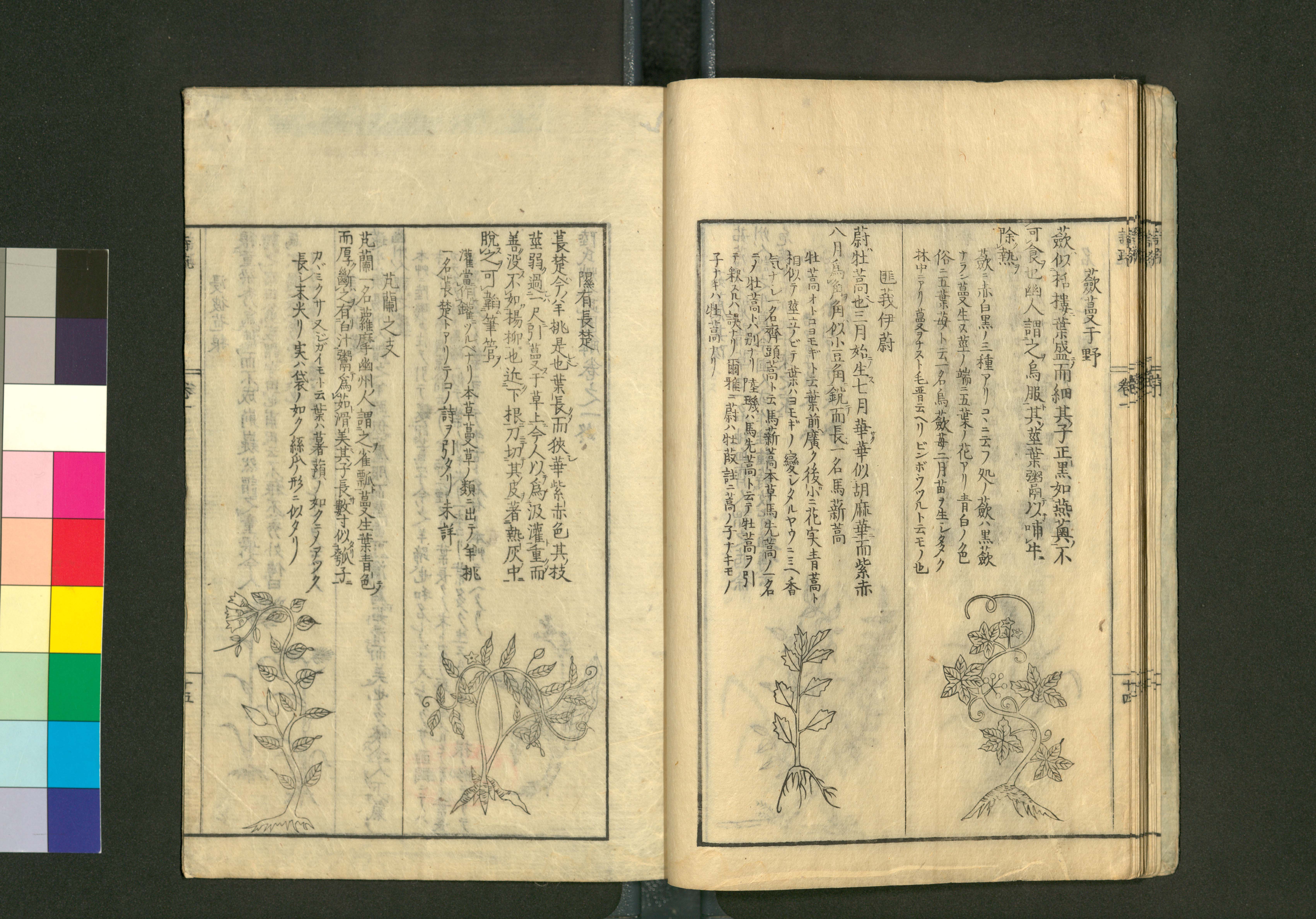 国文研データセット 陸氏草木鳥獣虫魚疏図解 安永8 (1779)年刊 19